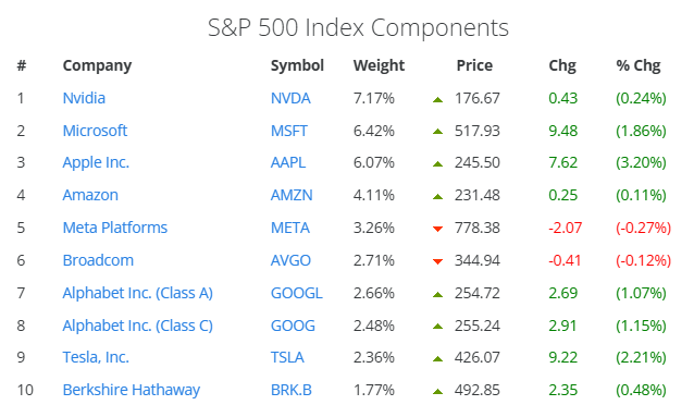 S&P 500 top 10