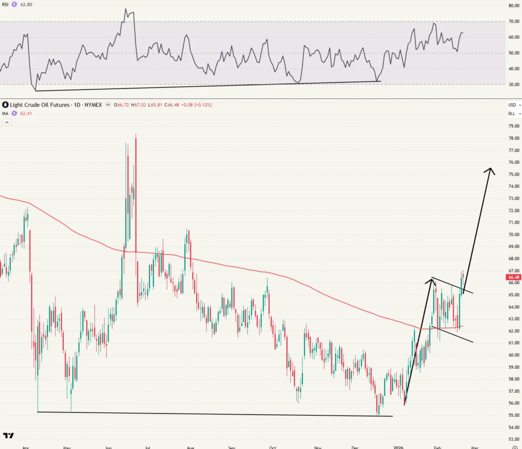 Daggrafiek Amerikaanse oliefutures op 23/02
